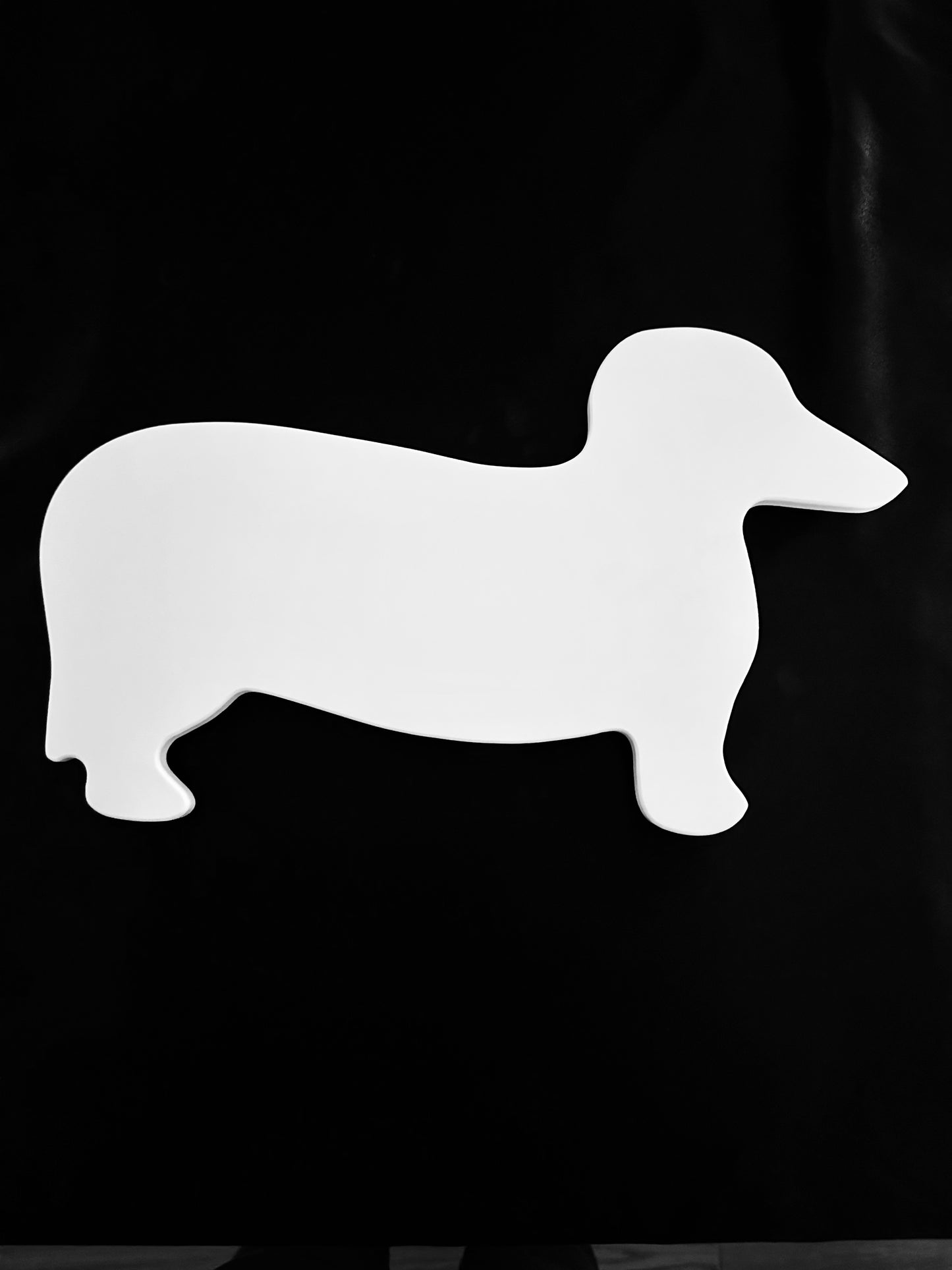 Dachshund